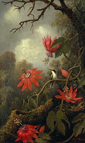 Tableau et Passiflores affiche impression d'art décoration murale