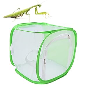 Opvouwbare insectenkooi, 2 handtouwen Dubbele ritssluiting aan één kant Opvouwbare insectenkooi van mesh voor wildernis…