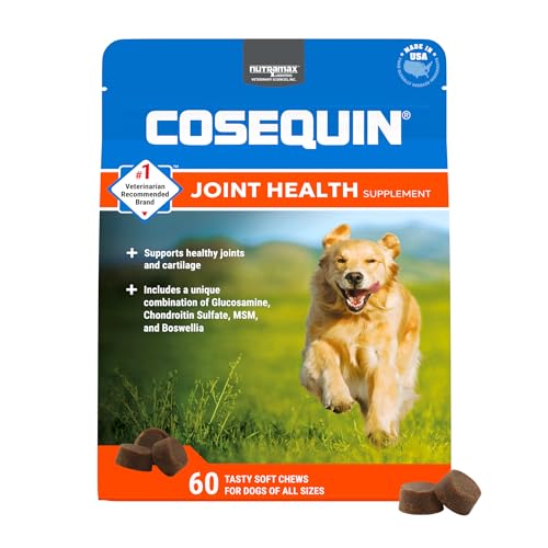 Nutramax Laboratories Cosequin DS Plus MSM Professional Line for Dogs, 60 Soft Chews