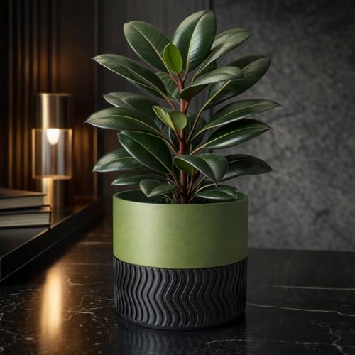 Vaso de Plantas Moderno com Base Texturizada, Verde e Preto, Desi...