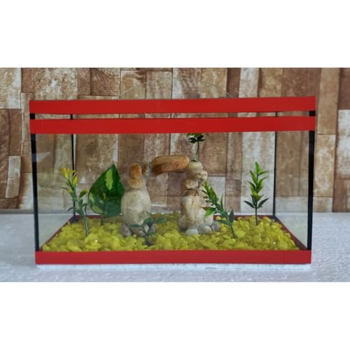 Aquário Beteira Retangular Decorada 4 Litros até a borda Peixe Betta Decorado Ornamentação Exclusiva