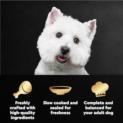 Image of Cesar Filets in Gravy Wet Dog Food Wood-Grilled Chicken, Wet Food for Dogs, 1.76 oz. Mini-Pouches, 20 Count