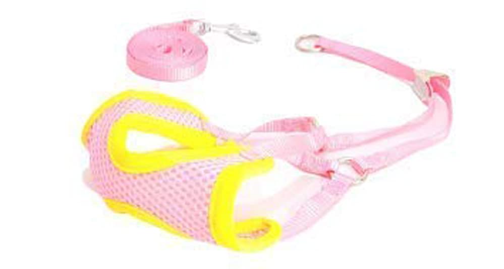 See full amazon price history chart for RvPaws Padded Vest Harness Training Collar for Small Puppy/Kitten/Cat Adjustable (Color as per Available) RvPaws Padded Vest Harness Training Collar for Small Puppy/Kitten/Cat Adjustable (Color as per Available) (B09WCRH4R6) Amazon Price History, Amazon Price Tracker