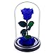 Produktbild Zhuotop Ewige Rose Konservierte Blume für Ewigkeit mit Glasbezug Einzigartige Echte Rose Geschenk für Frauen, Freundin, Mutter, Blau Rose
