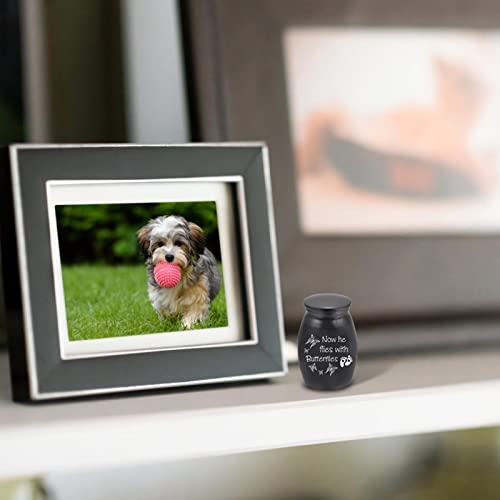 Lembrança | lembrança aço inoxidável para cinzas animais estimação | cremação animais estimação para