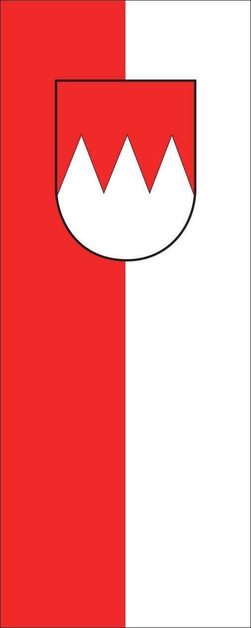 Flagge Franken 110 g/m² ca. 200 x 80 cm mit Hohlsaum für Ausleger