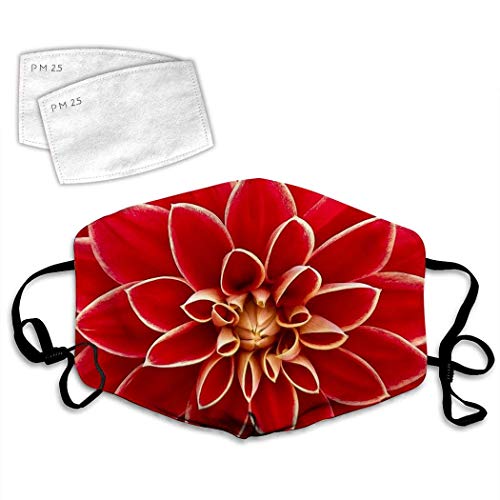 BERG Trampoline Champion Regular 430 Grey + Filet de sécurité DLX XL