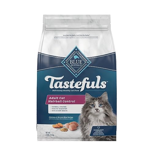 Alimento Seco Para Gatos M s Saludable Los 15 Mejores Productos alimento-seco-para-gatos-m-s-saludable-los-15-mejores-productos