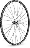 Nippel: DT ProLock Squorx ProHead alu