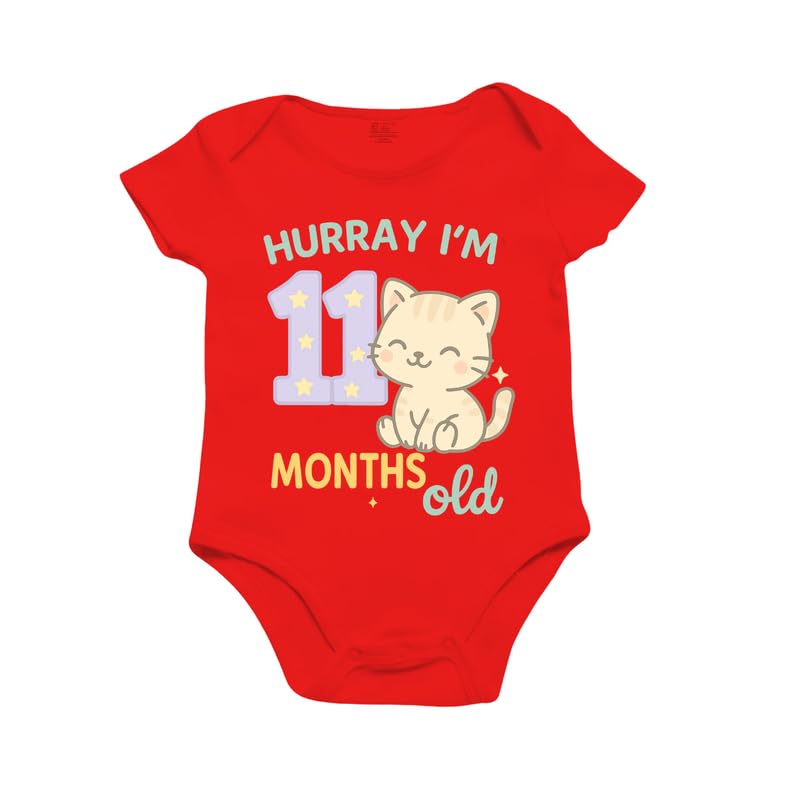 Image of Monthly Birthday Romper for Newborn Baby | Unisex Half Sleeve Bodysuit with Envelope Neck | Soft Cotton Outfit with 1 to 12 Month Print | Comfortable Infant Wear for Boys & Girls