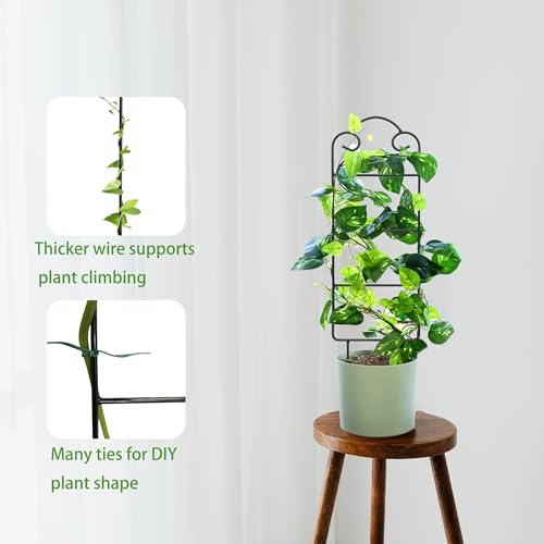 Image of 16 Inch Plant Trellis Indoor for Potted Plants 4 Pack Indoor Plant Trellis for Climbing Plants Houseplant Trellis Metal Garden Pot Trellis for Vine Ivy Support(16inch Black)