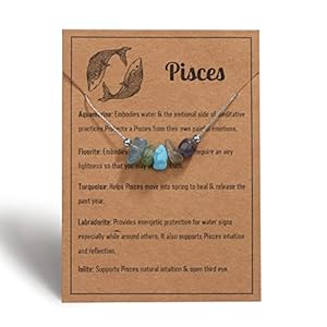 Silver Pisces Necklace Raw Crystals Zodiac Necklace for Women, Natural Stone Zodiac Sign Choker Astrology Jewelry Healing Crystals Horoscope Gifts