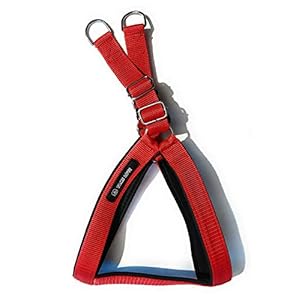 Tame Love™ Adjustable Breathable Dog Chest Belt Padded Harness for Fully Grown Adult Dog of All Breeds | Comfortable for Training, Walking, Running(Red,1.25 Inch)