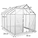 Zelsius Aluminium Gewächshaus mit Fundament 250 x 190 cm | 6 mm Hohlkammerplatten, UV-beständig, Winterfest | Treibhaus, Pflanzenhaus, Tomatenhaus, Frühbeet, Anbau Gewächshaus, Tomatengewächshaus