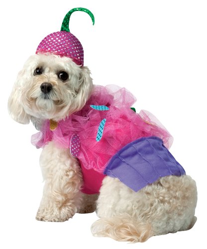 Disfraz Halloween para perro XL miniatura 2