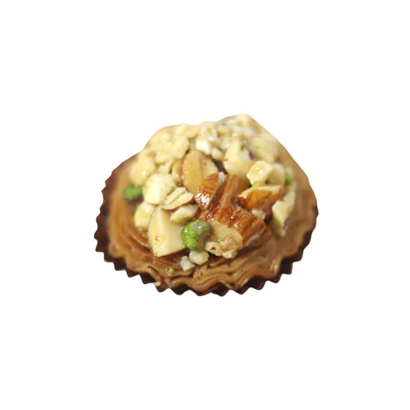 Ras Sagar Sweet House Mix Tart Baklava Sweets 500gm-image-41
