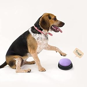 Voice-Recording-Button-Dog-Buttons-for-Communication-Pet-Training-Buzzer-30-Second-Record-Playback-Funny-Gift-for-Study-Office-Home-4-Packs - Cucciolini Doodles   Voice-Recording-Button-Dog-Buttons-for-Communication-Pet-Training-Buzzer-30-Second-Record-Playback-Funny-Gift-for-Study-Office-Home-4-Packs
