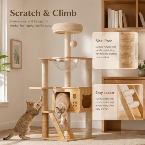 Árbol para gatos de madera sólida con cápsula transparente miniatura 4