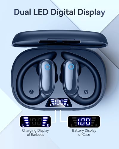 Image of GNMN 11