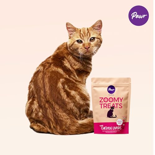 Image of Pawr4Cats | Chicken Livers Zoomy Treats | Freeze-Dried | Rich in Iron & Vitamin-A, Vitamin B12 | No Preservative | Use as Treat or Food Topper | 45 GMS