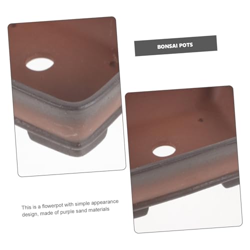 Pot à bonsaï compact et léger pour petits espaces intérieurs - 7