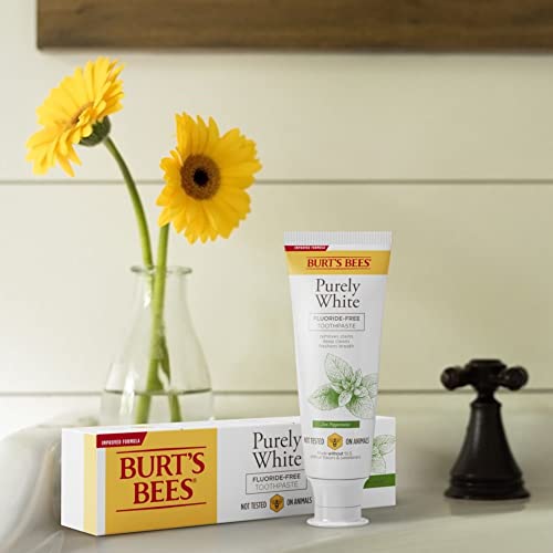 Burt'S Bees 192539000818 Toothpaste, Natural Flavor thumb #6