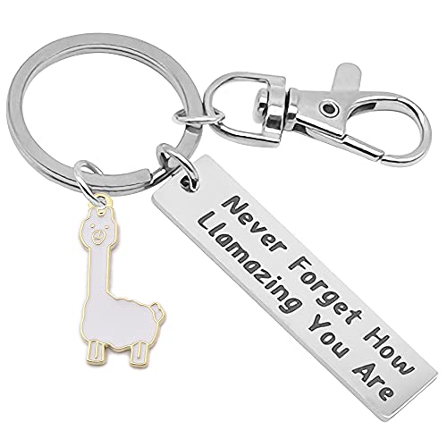 NAKUMICHA Motivational Llama Keychain Never Forget How Llamazing You are，Llama
