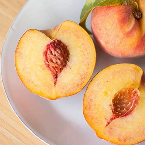 Chuxay Garden Peach Fruit Tree-Prunus Persica 10 Seeds Sweet Fruit Tree #TOP4
