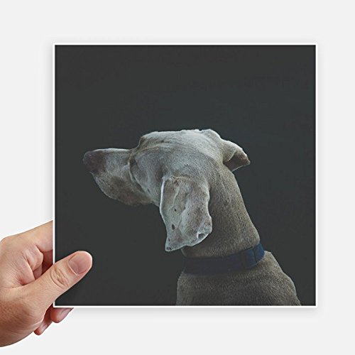 Vinilos de perro 20cm pegatinas cuadradas para decoración de maleta moto y pared 2