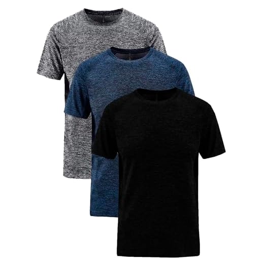Kit 3 Camisetas Masculinas Dry Fit para Academia, Treino e Fitness (1 Preto 1 Cinza 1 Azul, G1)