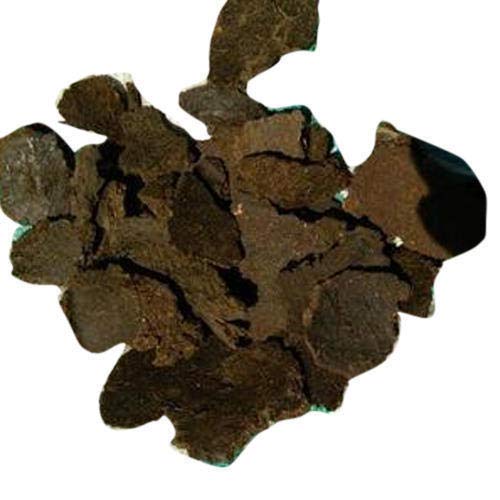See full amazon price history chart for Creative Farmer Neem Cake Natural Organic Biofertilizer (500 Gram) Creative Farmer Neem Cake Natural Organic Biofertilizer (500 Gram) (B07NF8NYCS) Amazon Price History, Amazon Price Tracker