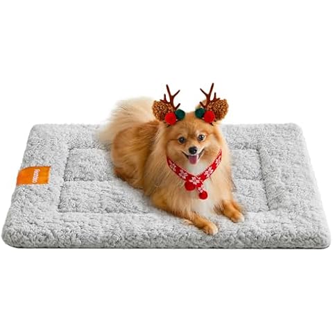 Feandrea Warm Dog Cat Bed and Mattress Cover