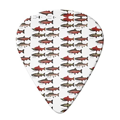 Salmon Lot de 6 médiators pour guitare acoustique, guitare électrique, basse, ukulélé – fins, moyens et épais - Les Beatles, Paul McCartney, John Lennon, RIngo Starr, George Harrison Salmon Lot de 6 médiators pour guitare acoustique, guitare électrique, basse, ukulélé - fins, moyens et épais – Image 4