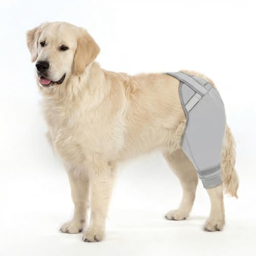 Petdream Dog Rear Leg Sleeve to Stop Licking, Upgraded Leg Shap to Stop Slipping, for TPLO Surgery, Skin Conditions, Wounds, Breathable Soft Fabric (Grey, Right Leg, L)