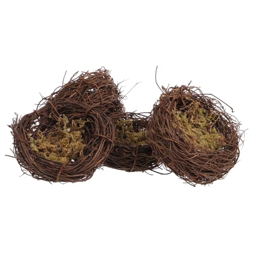 STOBOK 4 lH  p OΉ̃A^ C[X^[  NX}Xp[eB[pBeK[