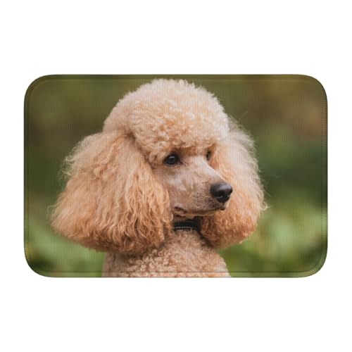 玄関マット プードル 犬 バスマット 室内 屋外 足拭きマット カーペット おしゃれ 北欧 滑り止め付き 洗える ベットルーム 浴室 台所 寝室 業務用 家庭用 40×60cm