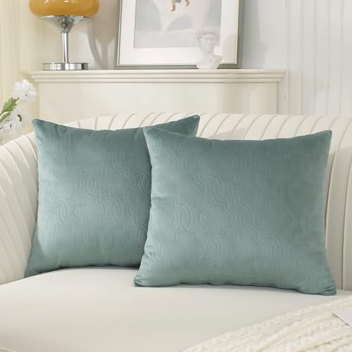 Ystyle Funda Cojin Sofa 60x60 Decorativa Hogar de Terciopelo para Salon Cama Jardin Dormitorio Cojines Decorativos de 2 Fundas para Almohadones Cojin Silla con Cierre Modernos, Verde Claro