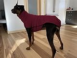Imily Bela Hundepullover Fleece Rollkragen Hundemantel Warmer Weste Pullover Outdoor Hundejacke Winterkleidung für Kleine Mittel Große Hunde,Weinrot,M