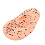 OATIPHO 1 Stück Ohr Akupunktur Massage Werkzeug für Akupunkturpunkte Lehrmittel für Physiologie Langlebig und Beschriftet Medizinische Ausbildung