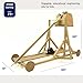 PATHFINDERS Medieval Trebuchet STEM Kit – DIY Wooden Mechanical Model | Working Counterweight Siege Engine | Engineering & Physics Project for Teens 14+ | Build-It-Yourself Historical Model