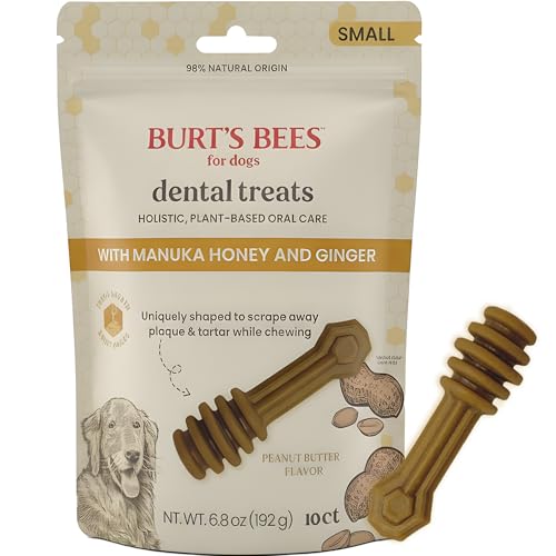 Burt's Bees Manuka Honey Ginger Dental Dog Treats, Peanut Butter, Small