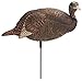 Flextone Hunting Lightweight Ultra Realistic Lifelike One Piece Outdoor Thunder Chicken Breeder Hen Turkey Decoy