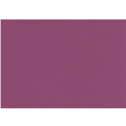 エスケント 色画用紙 スターウェーブ A4 パープル 100枚 5007808