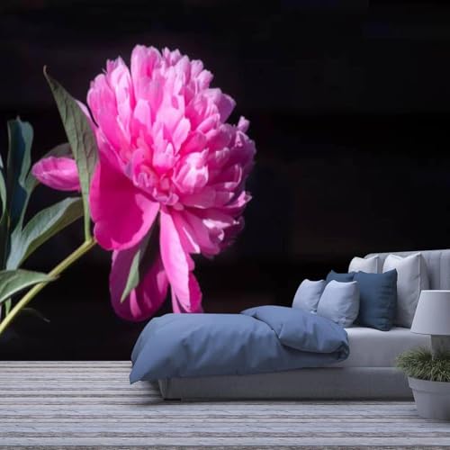 Fond d'Écran 3D pour Restaurant et Café, Décoration Florale Salon de Thé - 2