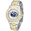 Penn State Nittany Lions
