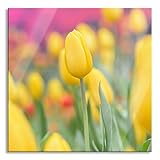 Utilisation : exprimez vos murs avec les images en verre uniques de Pixxprint et créez vos espaces de vie pour se sentir bien à l'aide de peintures murales impressionnantes avec une brillance colorée. Que ce soit pour le salon, la chambre à coucher, la chambre d'enfant, la salle à manger, le couloir, la cuisine, la salle de bain, le bureau ou le bureau, trouvez l'image parfaite pour votre maison ou votre lieu de travail parmi un choix de plus de 5 000 motifs uniques et 11 tailles Pixxprint.