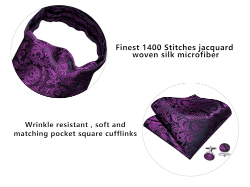Image of Barry.Wang Ascot Ties Cravat Tie Men Paisley Plaid Scarf Self Tie Pocket Square Cufflinks Set Wedding Party