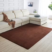 Drum Rug Drum Mat, Sound Insulation Pad Non-Slip Floor Mat Velvet Fabric Drum Carpet Shock Absorption Mat, for Living Room Bedroom Home Decor Color Coffee, Size 230x160cm