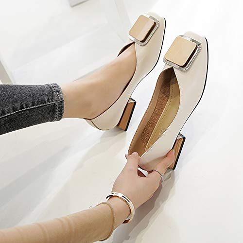 Yhjmdp Piatto Pattini degli Appartamenti di