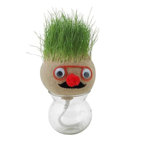 Muñeca de cabeza de hierba, muñeca de cabeza de hierba en crecimiento, planta de cabeza de hierba bonsái en maceta, plantas en maceta educativa, decoración de plantas en maceta de escritorio, 7 x 7 x